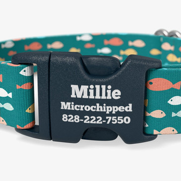 Buckle personalized